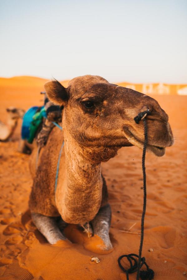 Sanmao Desert Luxury Camp Merzouga Exterior photo